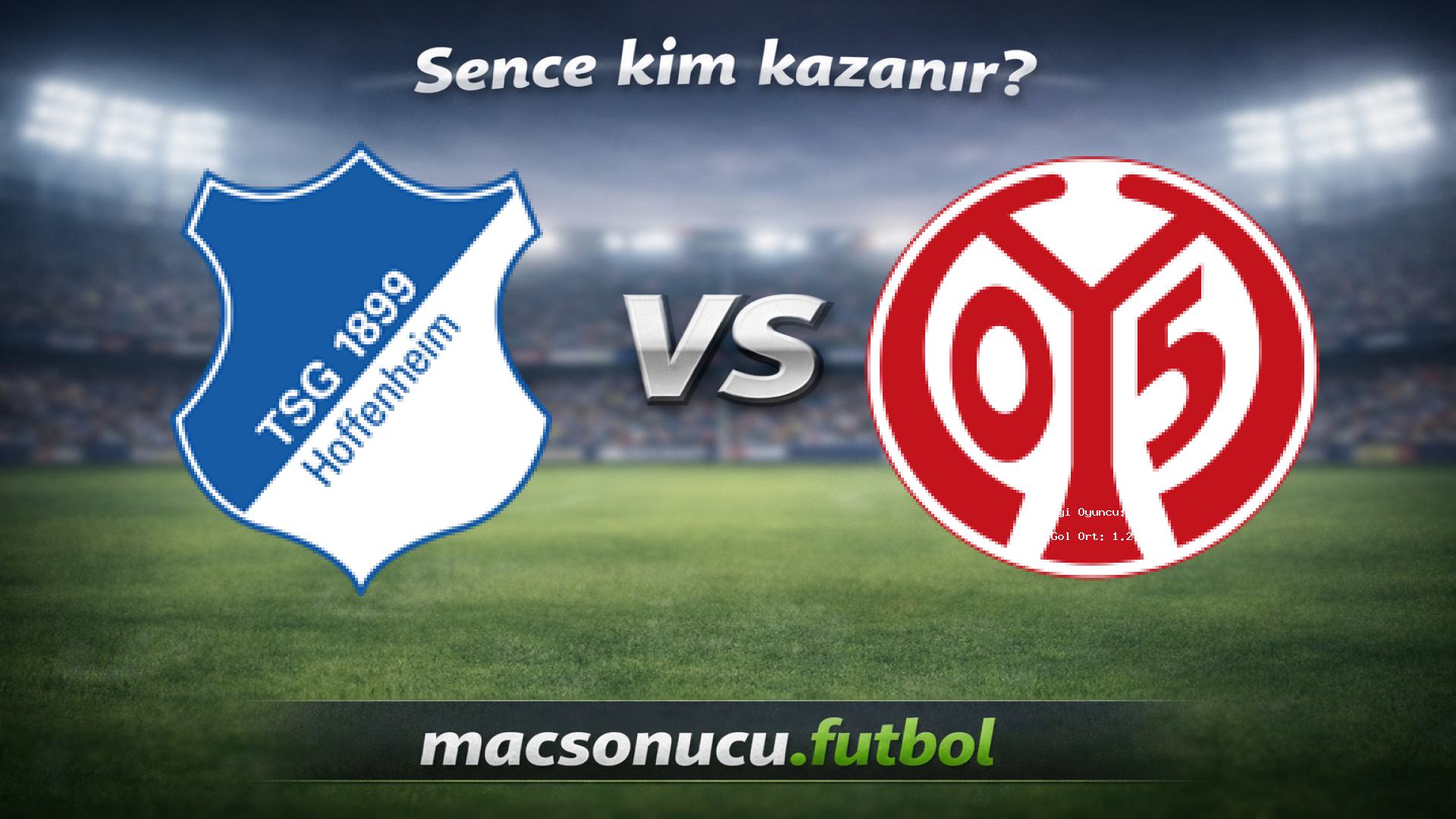 1899 Hoffenheim - FSV Mainz 05 maç görseli